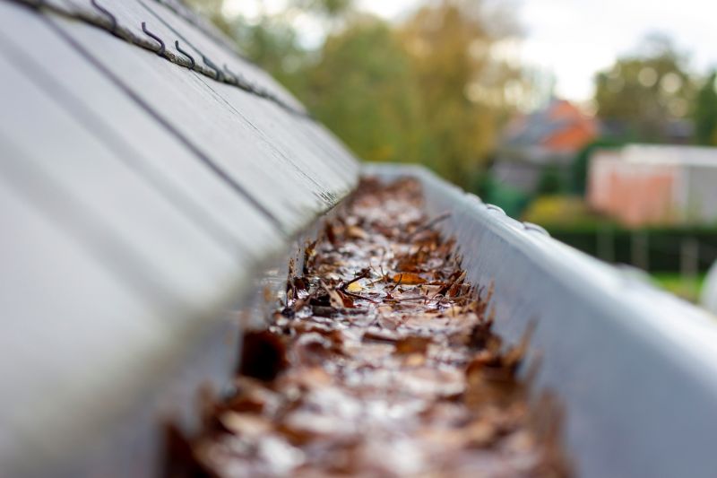 Clogged Gutter Before Cleaning